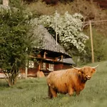 Appartamento Am Mehlberg Hinterzarten